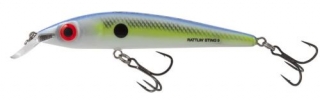 Salmo Rattlin´ Sting 9F Table Rock Shad Plovoucí