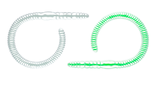 Libra Lures Flex Worm 95mm 000 Glow UV Green Krill 10ks