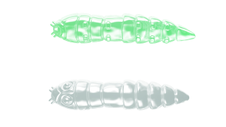 Libra Lures Kukolka 27mm 000 Glow UV Green Sýr 15ks