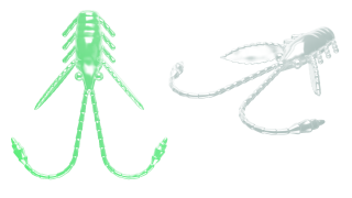 Libra Lures Pro Nymph 18mm 000 Glow UV Green Sýr 15ks