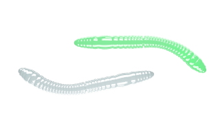 Libra Lures Fatty D´Worm Tournament 55mm 000 Glow UV Green Sýr 12ks