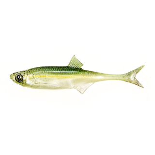 Angry Lures Bleak F-Tail 10cm WGY