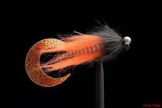 Czechstreamer Jig Black Parrot
