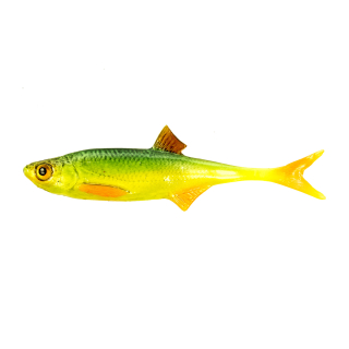 Angry Lures Bleak F-Tail 10cm GYO