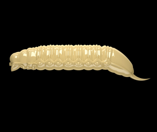 Libra Lures Goliath 45mm 005 Cheese Sýr 8ks
