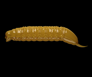 Libra Lures Goliath 45mm 036 Coffe Milk Sýr 8ks