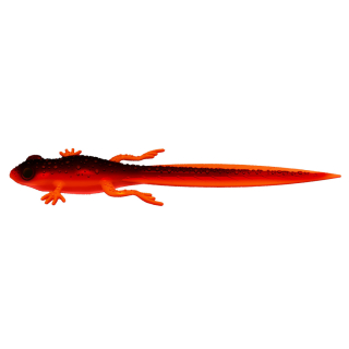 Libra Lures Frog Tadpole Tail 21cm 011 Hot Orange