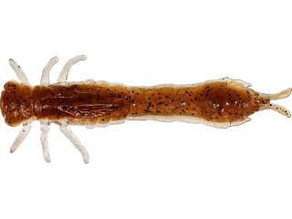 Westin Odonata Ned Creaturebait 6,5cm Brown Shiner