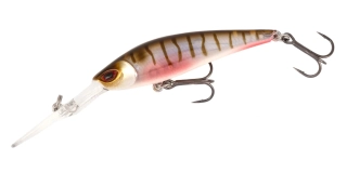 Mikado Cracker 6cm Oikawa Perch